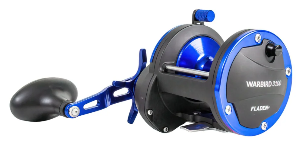 Warbird 3100 Blue 2+1 stainless steel ball bearing Billig