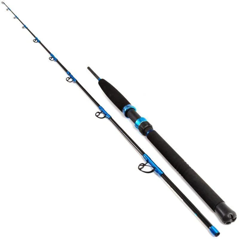 I lager Maxximus Blue Ocean210cm 20-30Lbs 2 sections
