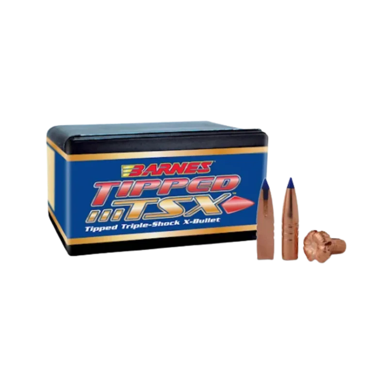 Endast idag Barnes Kula .270 140gr TSX BT