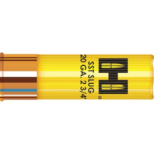 Endast idag Hornady Slug 20 250gr SST