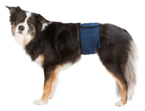 risnedsättning Trixie Hanhundsskydd S-M 37-45cm