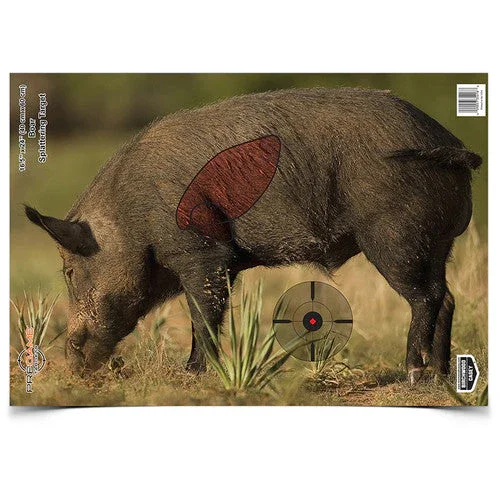 Birchwood Pregame Target BOAR 3pack Sänkt pris