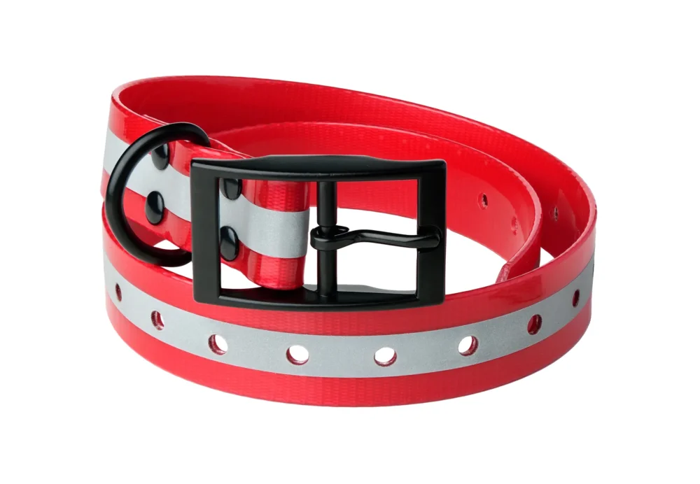 Lafayette Hundhalsband Röd med Reflex Expressleverans