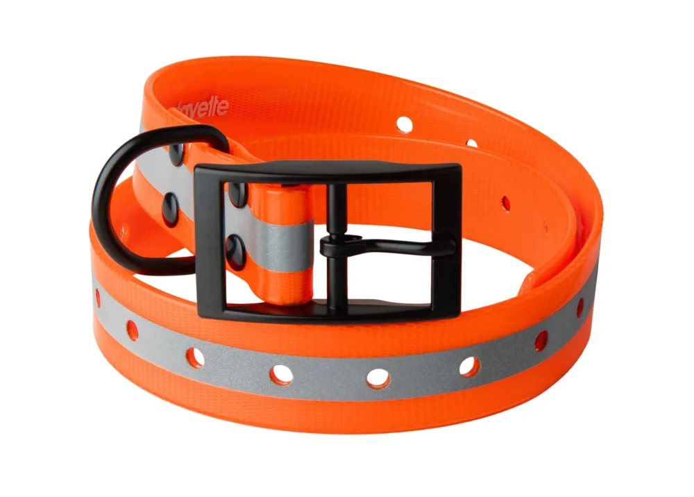 Lägg i varukorgen Lafayette Hundhalsband Orange med Reflex