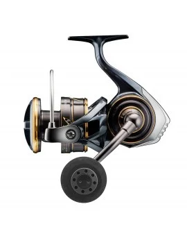 DAIWA 22 CALDIA SW Endast denna vecka