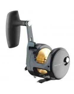 Sista chansen DAIWA 24 SALTIGA (G) 15