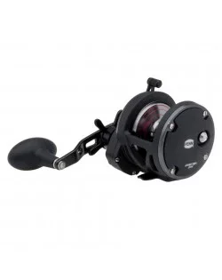 Nyhet PENN WARFARE 20N STARDRAG REEL
