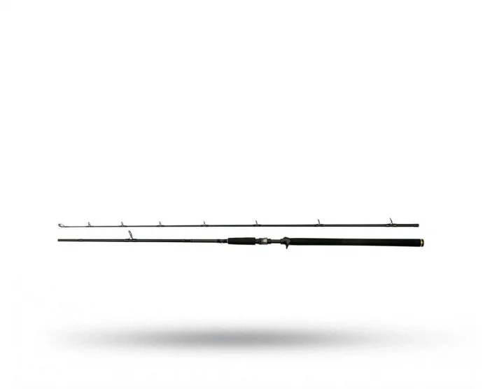 Endast idag RenzStein Beastly Stripe JB 7`3 fot 5-30 g (Jerkbait)