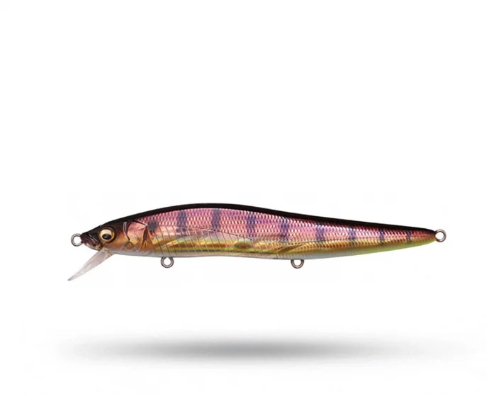 Fynd Megabass Vision Oneten LBO
