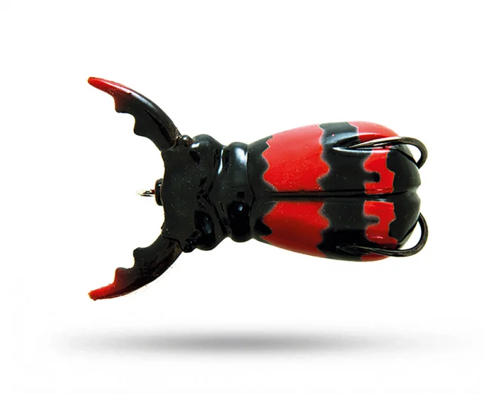 Molix Supernato Beetle Outlet
