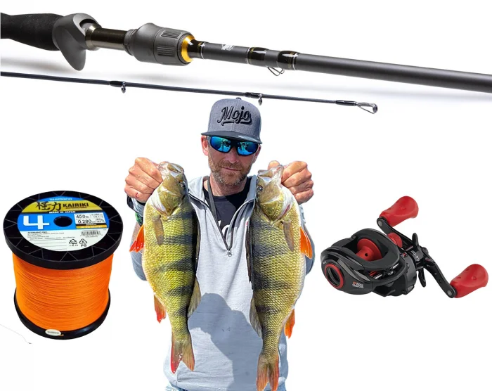 Renz Beastly Stripe Jerkbait Multi Combo Reapris