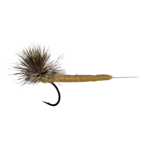 Billigare Hurricane Vulgata Vax - Natural (Strl.10)