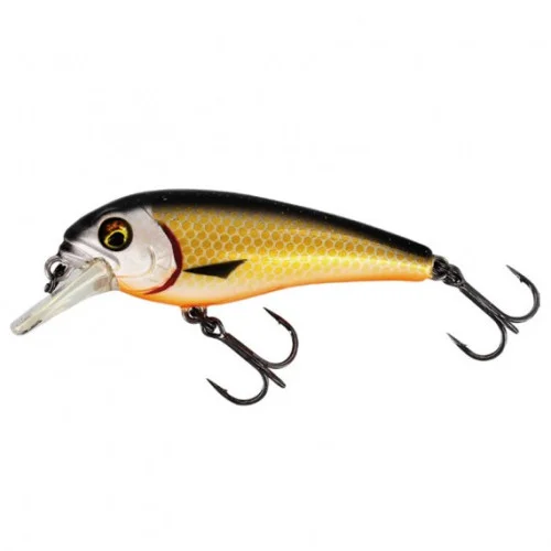 Westin BullyBite Crankbait 15g 7cm - Official Roach Nedsatt pris