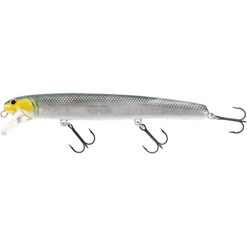 Outlet Westins Jätte 23 cm - Headlight
