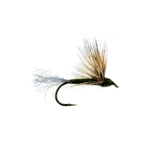 Comparadun BWO Reapris