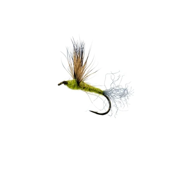 Comparadun Light Olive Snabb leverans
