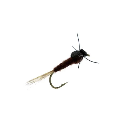 Foamnymf risnedsättning
