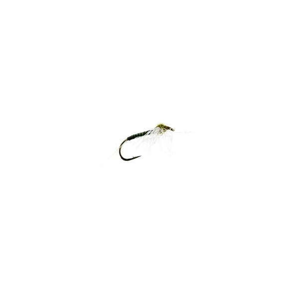 Beställ idag Quill Spent Olive