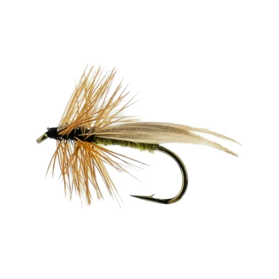 Europa 12 Olive I lager