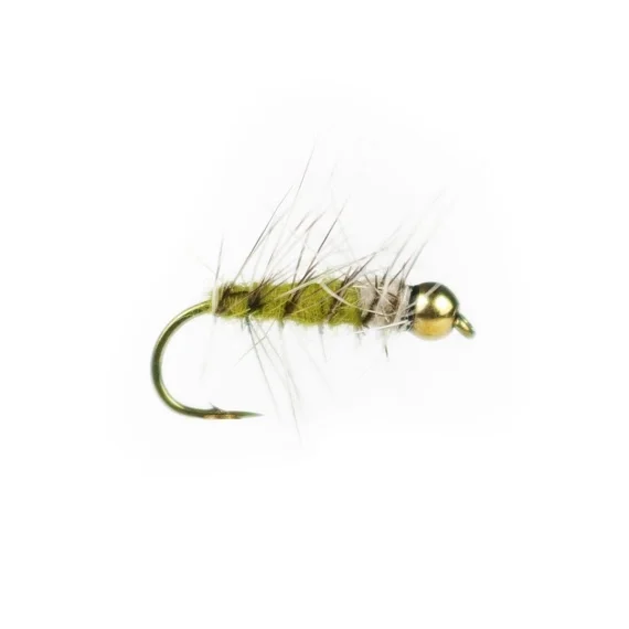 Snabb frakt Superpuppan Olive BH # 12