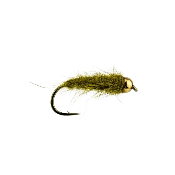 Haröra Olive BH # 12 Köp nu