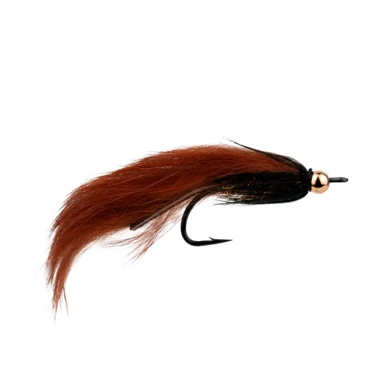 Zonker Brown BH # 6 Kundfavorit