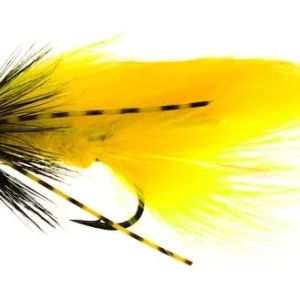 Zonky Yellow TMC7989 #6 Handla nu