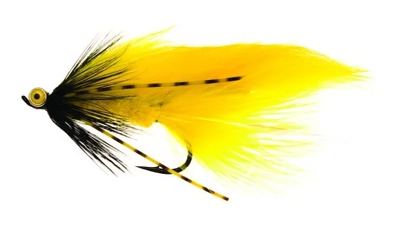 Zonky Yellow TMC7989 #6 Handla nu
