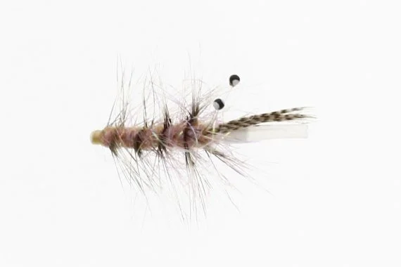 Kundfavorit Alive Shrimp Tube Plast