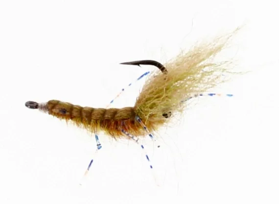 Rabatt Honeyshrimp UV Gamakatsu