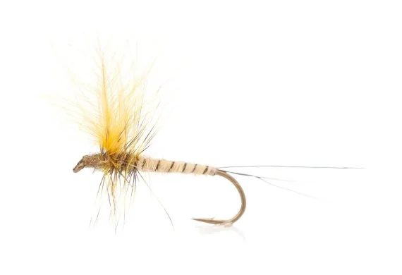 Danica Light - Daiichi 2220 #10 Extra rabatt