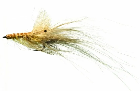 Expressleverans Pattegrisen Tan