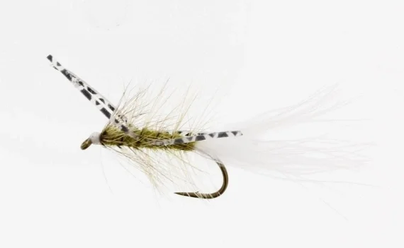 X-Fly Olive Kamasan B170 #6 Handla nu
