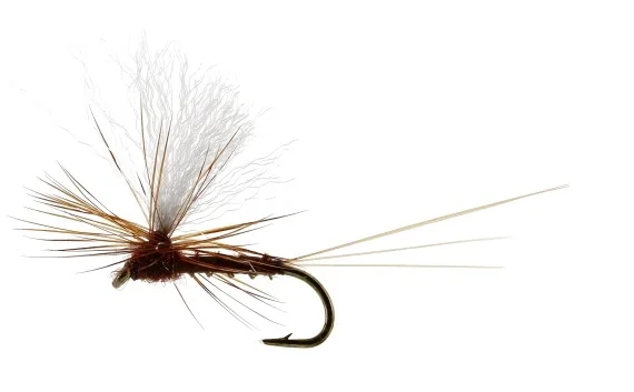 Vespertina Dun Biot Brown TMC100 Fynd