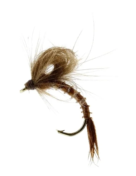 Begränsat erbjudande Marginata Emerger Biot Brown TMC212TR #13