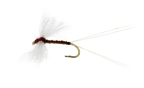 Utförsäljning Marginata Spinner Biot Brown TMC100