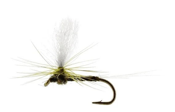 risnedsättning Baetis Dun Quill Olive TMC100