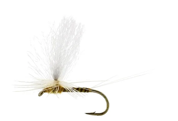 Sulphurea Dun Quill Yellow TMC100 Köp online