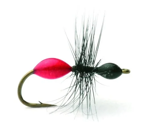 Köp nu Transparant Ant Black/Red Maur Tørr