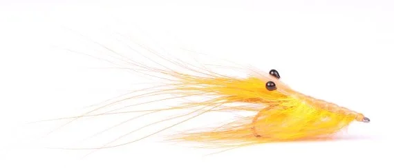 I lager Pattegrisen - Orange
