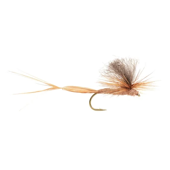 Billigare Sjösandslända size 10