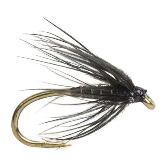 Black Spider # 14 Fynd