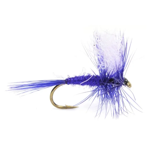 Begränsat antal Deep Purple torr # 12