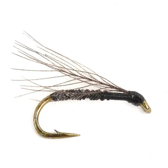 Rea F-Fly