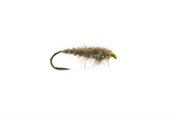 Haröra Streamer # 10 risnedsättning