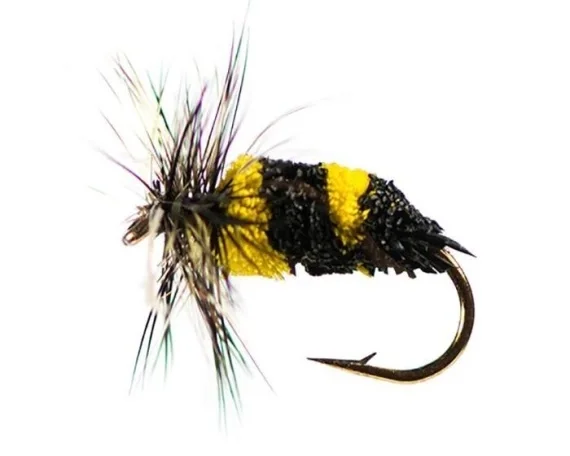 Geting size 12 Snabb frakt
