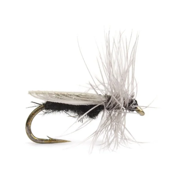 Erbjudandepris Diptera size 14