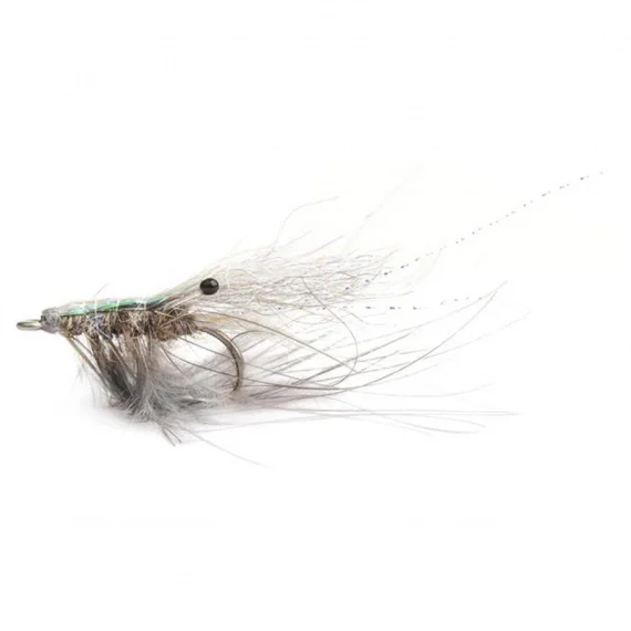 Beställ nu Ghost shrimp #4