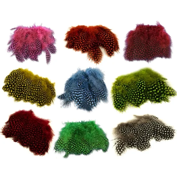 Strung Guinea Feathers Snabb leverans