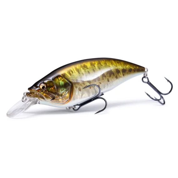 Fynd Megabass Big-M 4.0